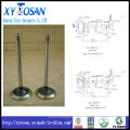 Engine Valve Used for Mit 6dB 30004-23101